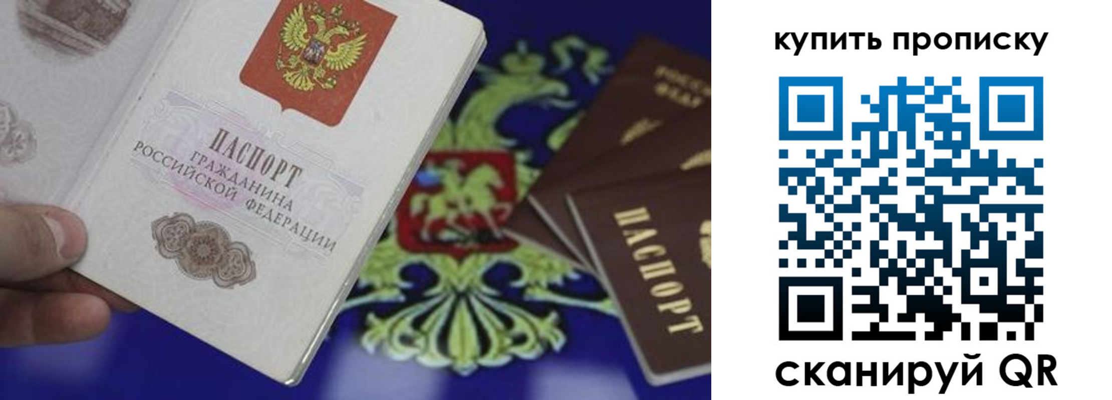 прописка законно в Пскове